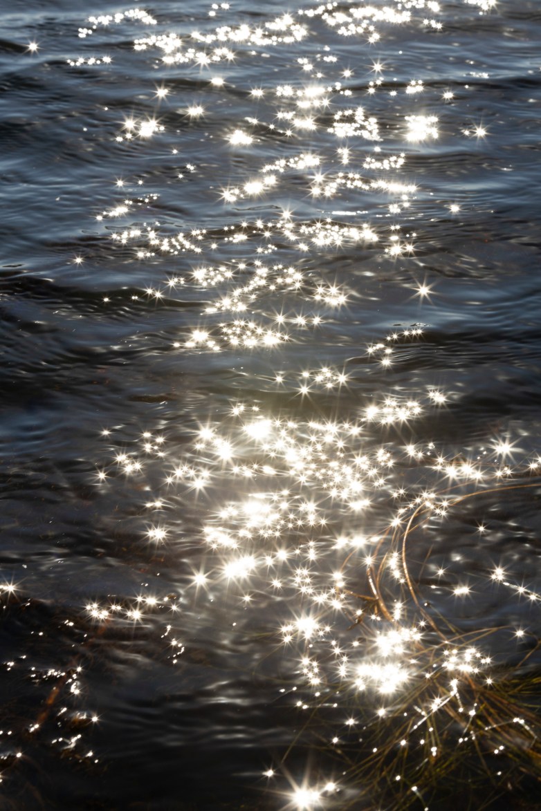 Sun shines on water