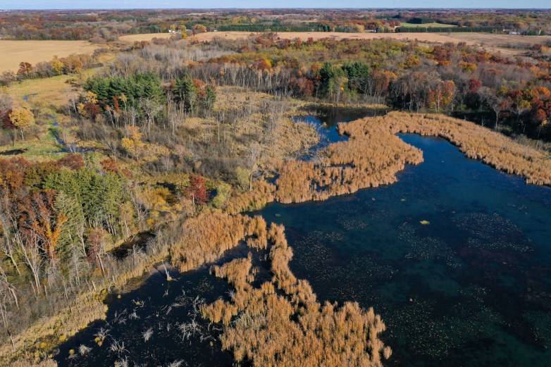 Aerial view of land with fall colors and water