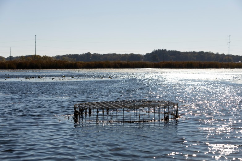 Structure in the middle of water