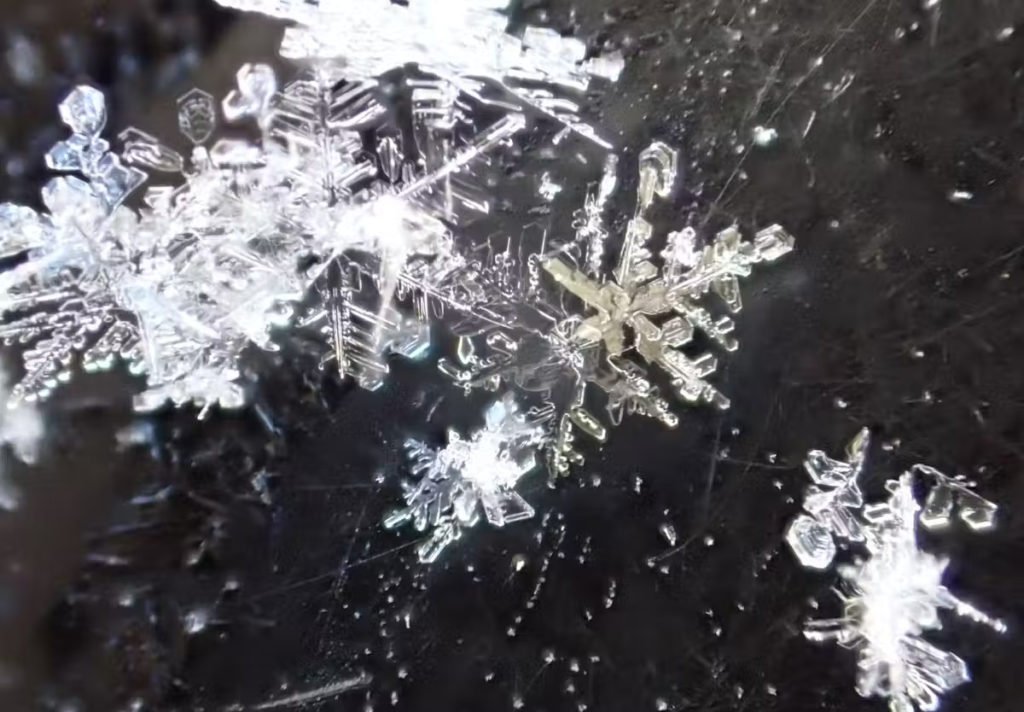 file-20250214-15-xqgnx1