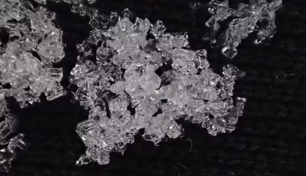 file-20250214-17-su9qbg