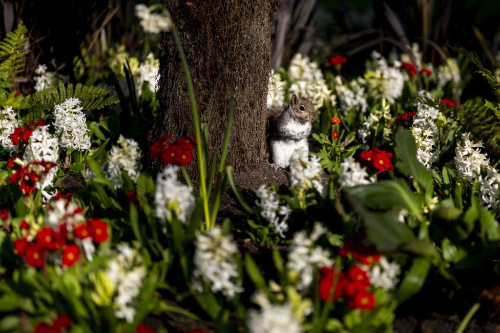 Spring weather Mar 20th 2025