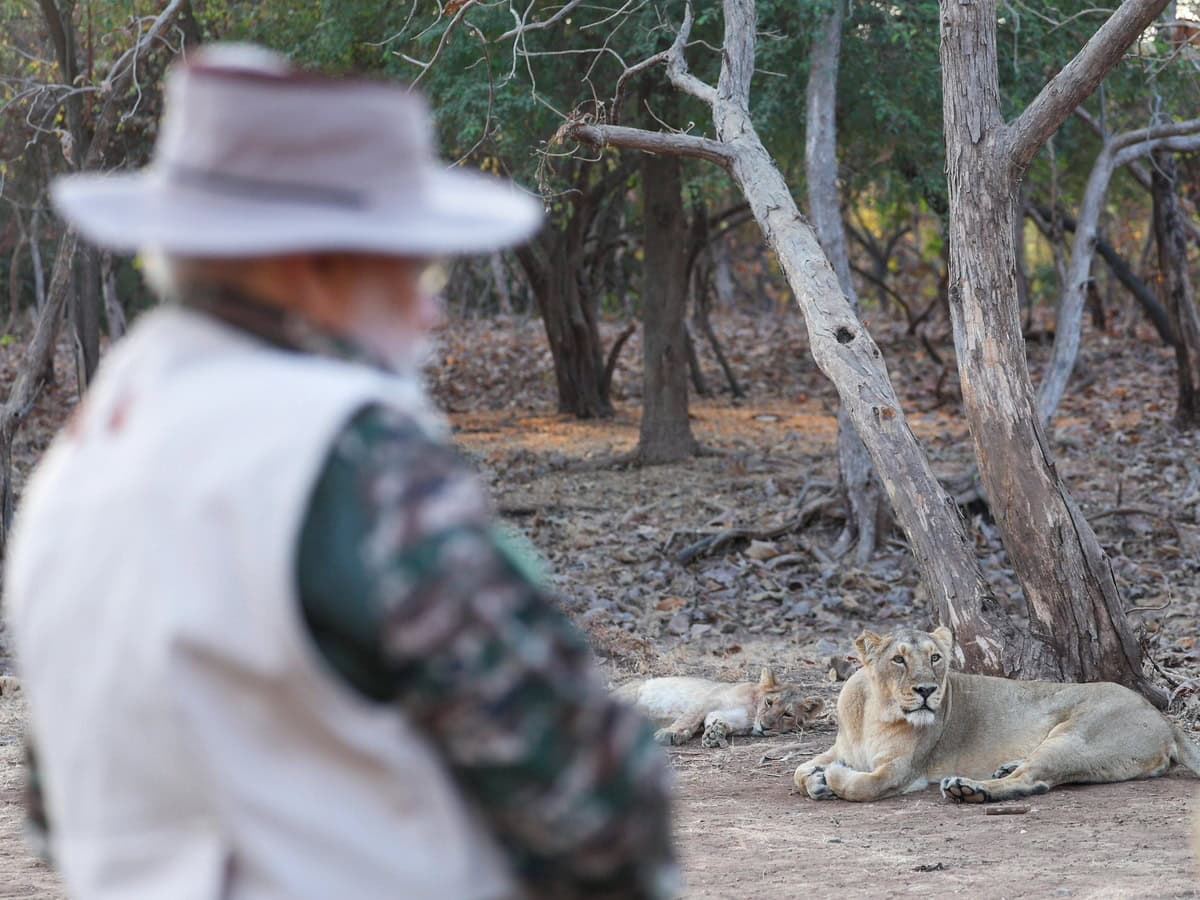 PM Modi at Gir Wildlife Sanctuary