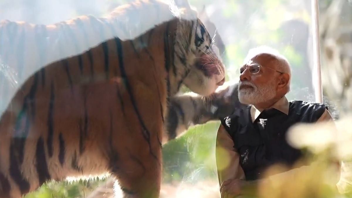 PM Modi Inaugurates Vantara, India's Largest Wildlife Rescue & Conservation Centre, In Gujarat