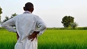 UP Launches ₹1,600-Cr Irrigation Overhaul To Boost Farm Efficiency And Water Savings 