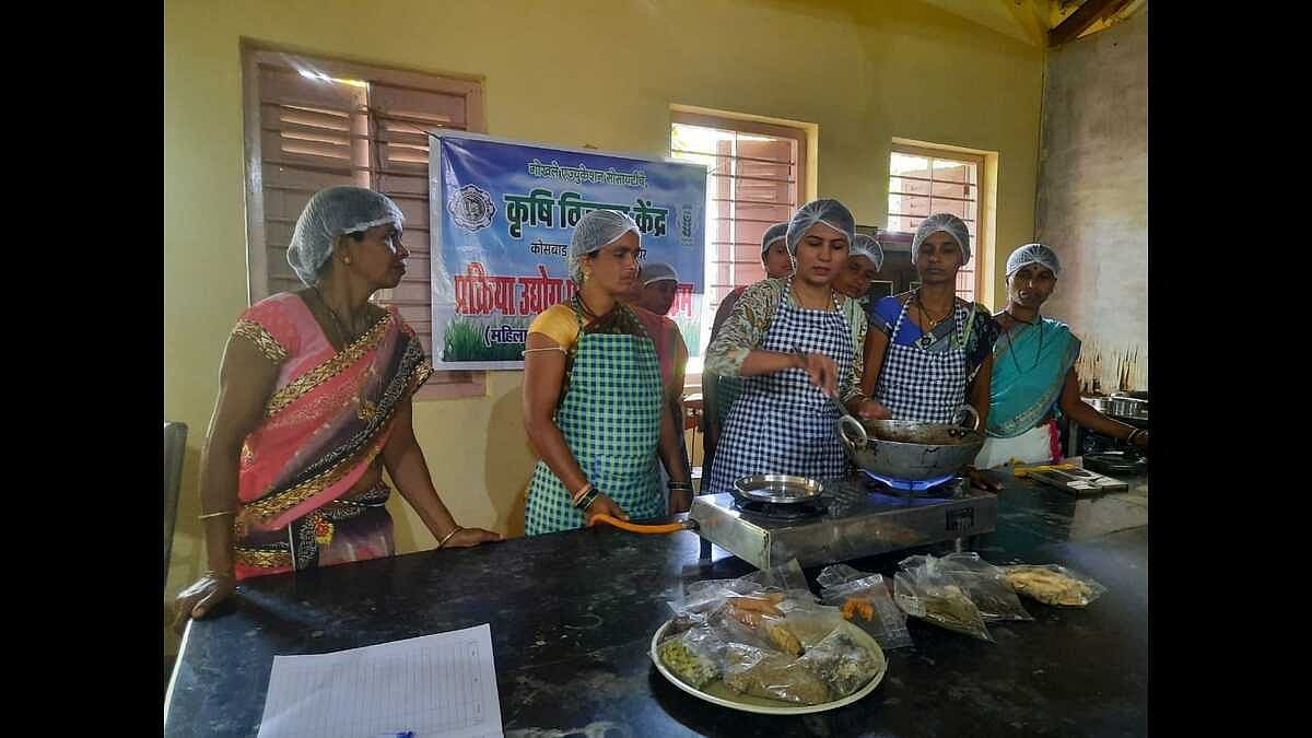 The tribal communities in Palghar and Nashik are being helped to set up micro-businesses