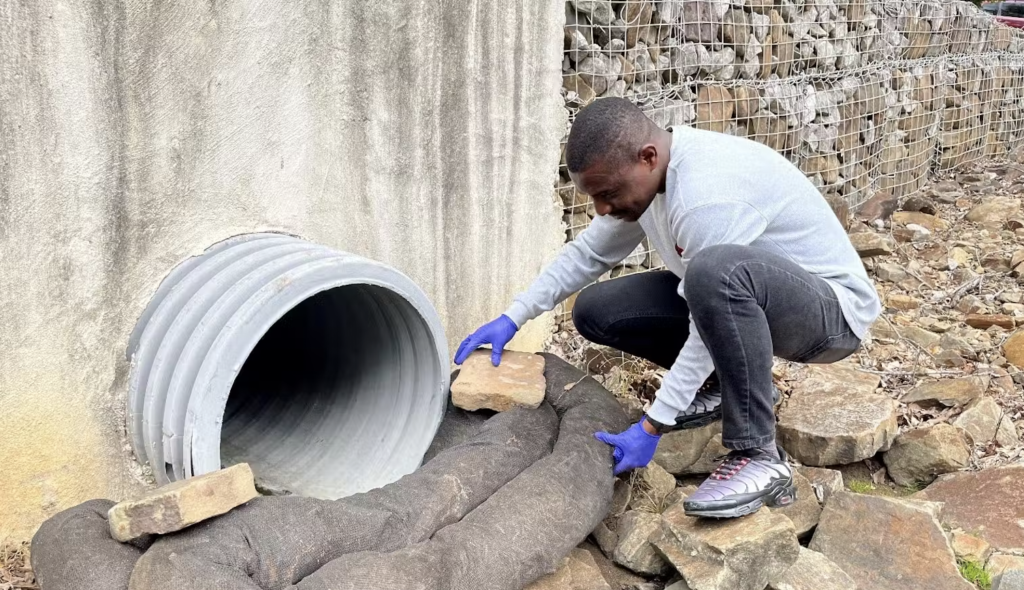 Boluwatife S. Olubusoye, one of the authors of this article, positions a filter sock filled with biochar under a storm drain. James Cizdziel/University of Mississippi
