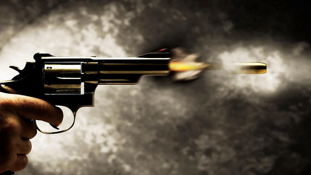 Maharashtra News: Badlapur Man Injured After Being Shot By Group Over Suspected Rivalry Near MLA Kishan Kathore's Bungalow 