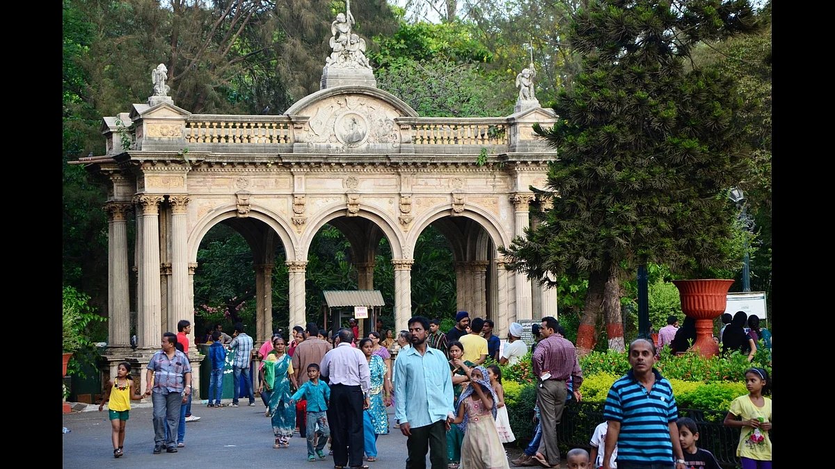 On average, Rani Bagh sees around 8,000 visitors a day