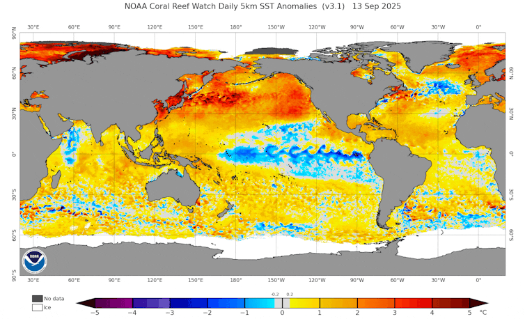 An animated map shows anomalously warm temperatures across the ocean between Japan and the U.S.