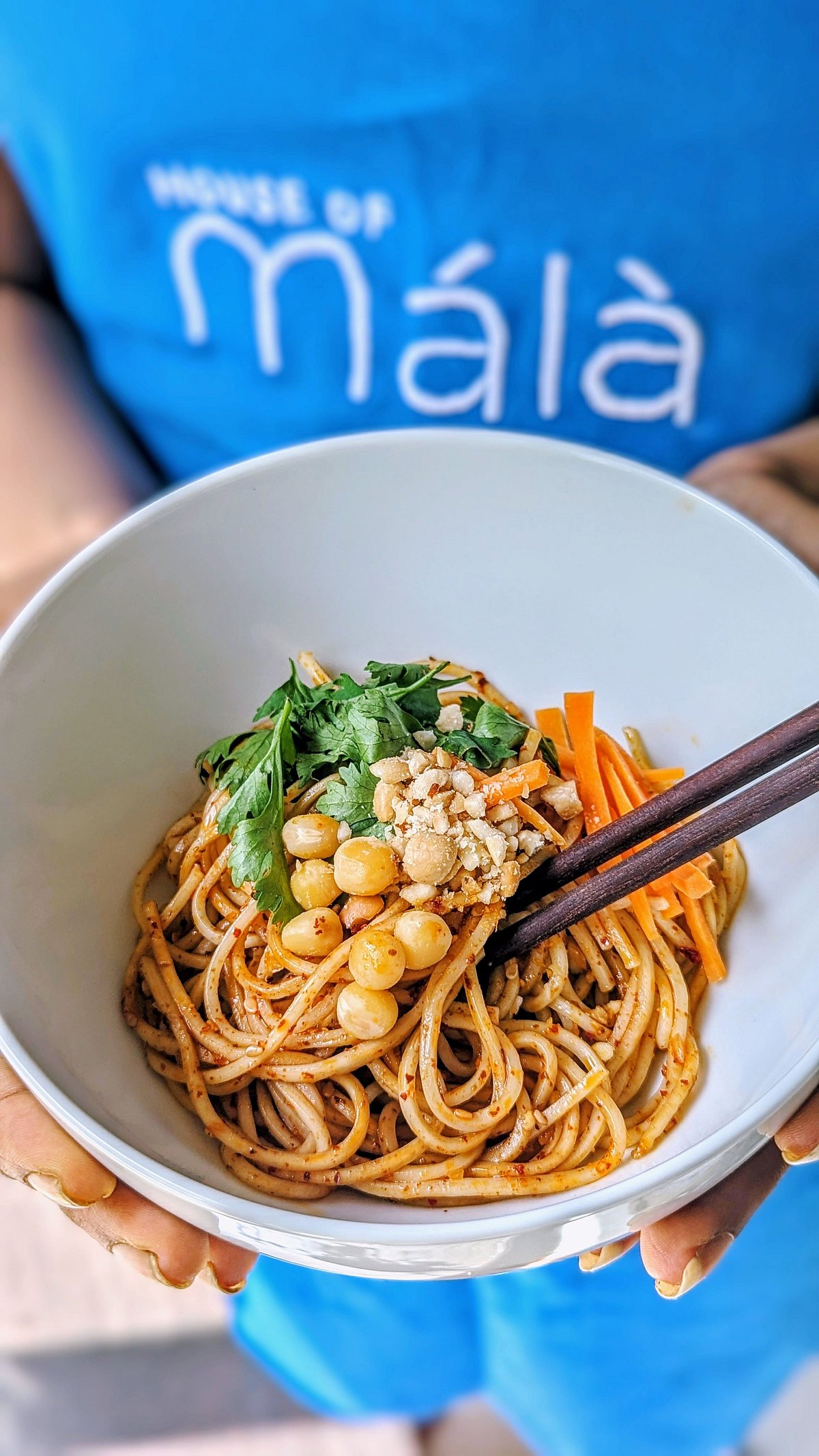 Schisuan dish at House of Mala