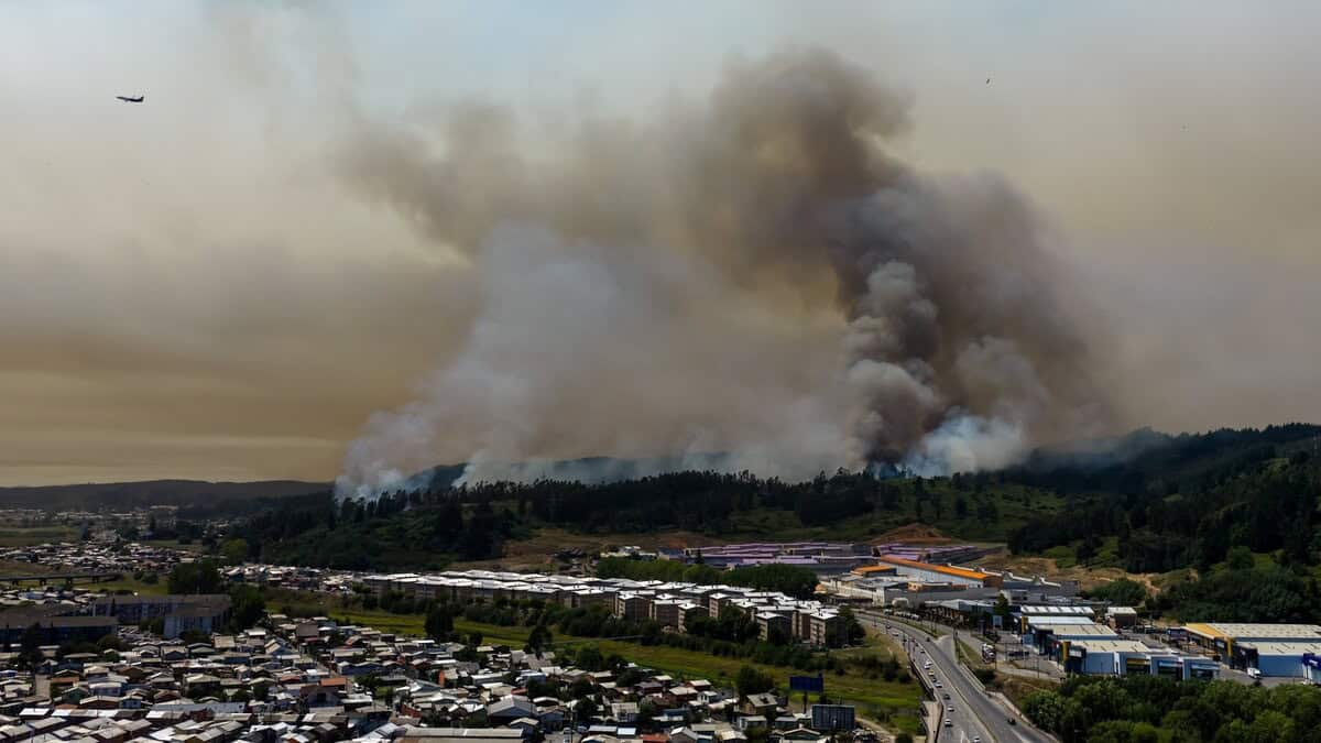 Chile wildfires