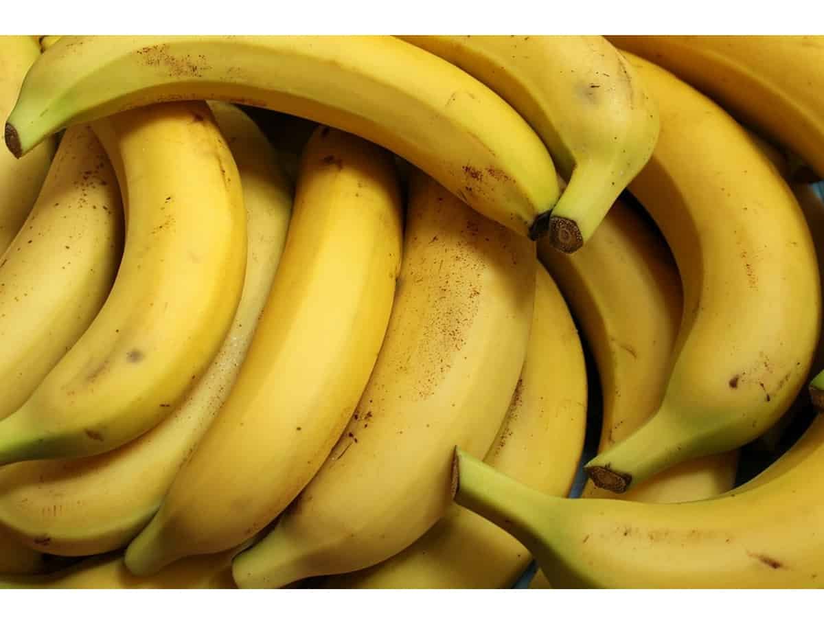 India targets USD 1 billion banana exports