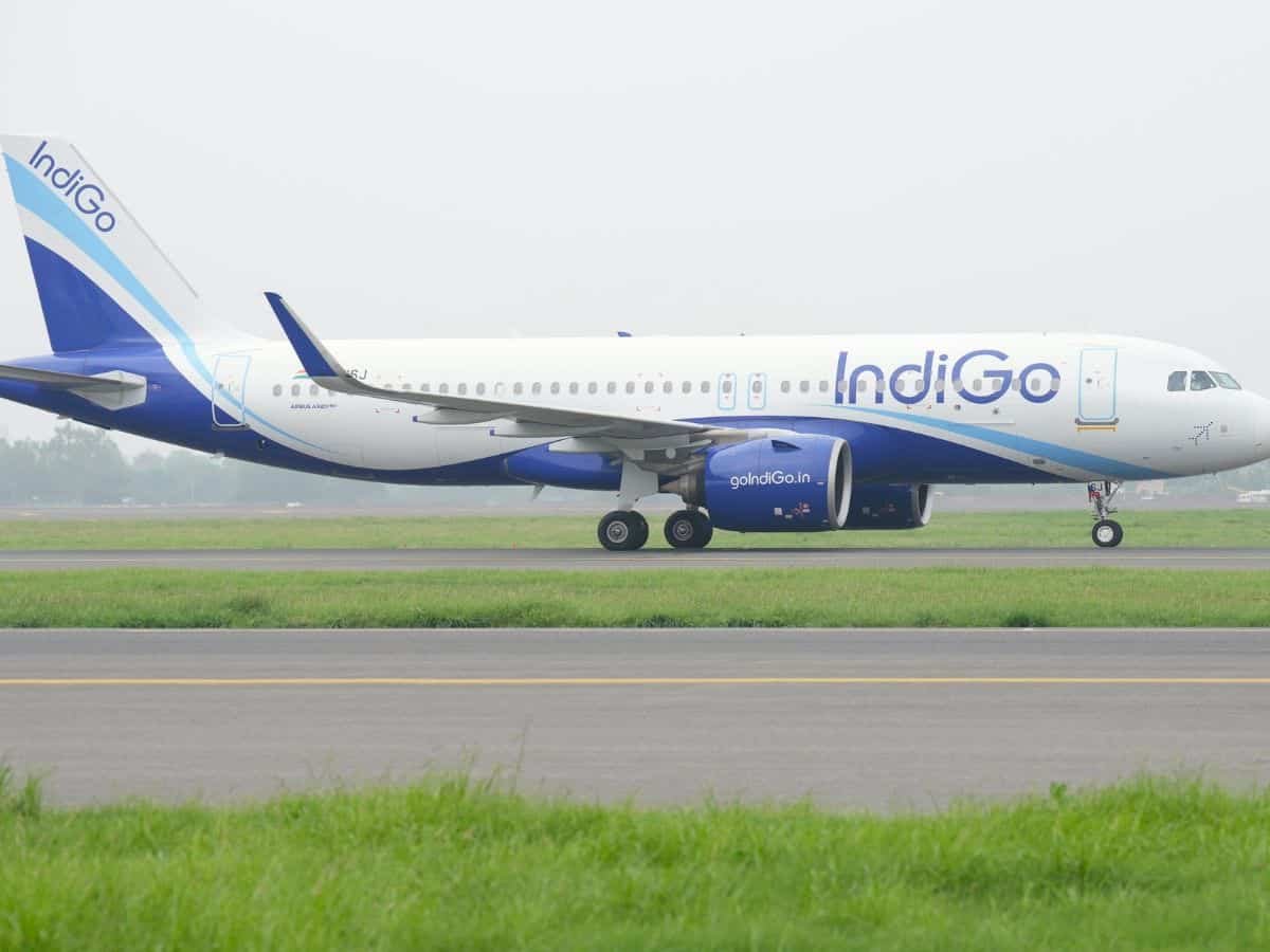 IndiGo’s December quarter profit slips 18.3 pc, revenue up 14.6 pc