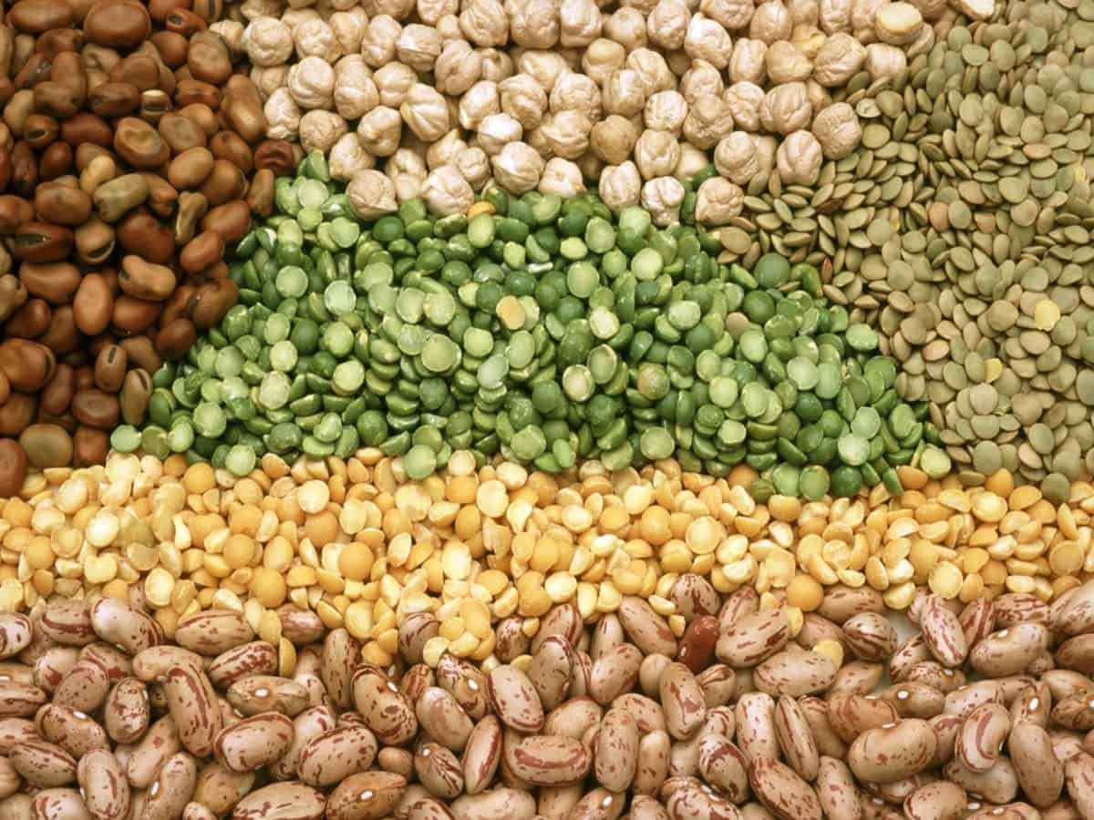 Centre to step up procurement of pulses from farmers in Rabi marketing season