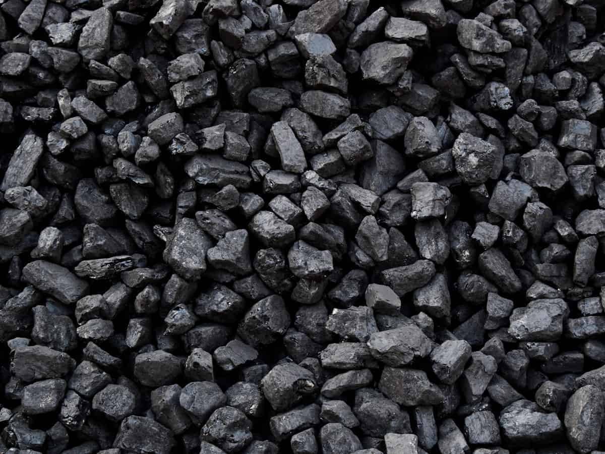 Coal movement on Rail-Sea-Rail route doubles to 54 mn tonnes over 2 yrs