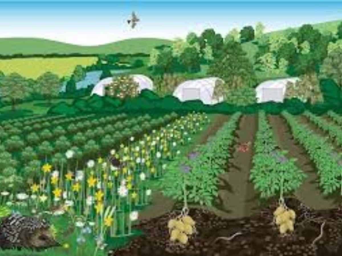 3-day workshop on horticulture to begin at Hitex on Friday