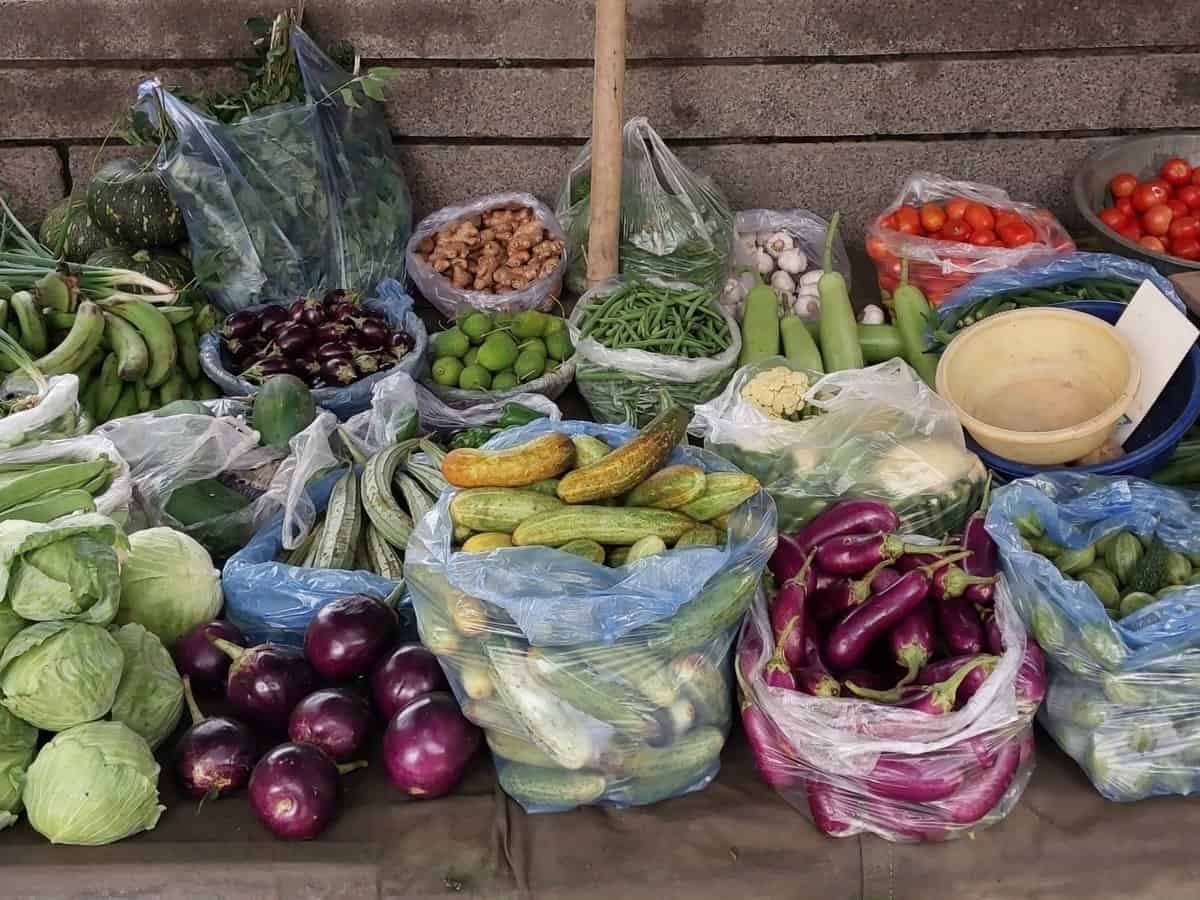 PMKSY cold chain scheme cuts wastages in vegetables, dairy, fisheries