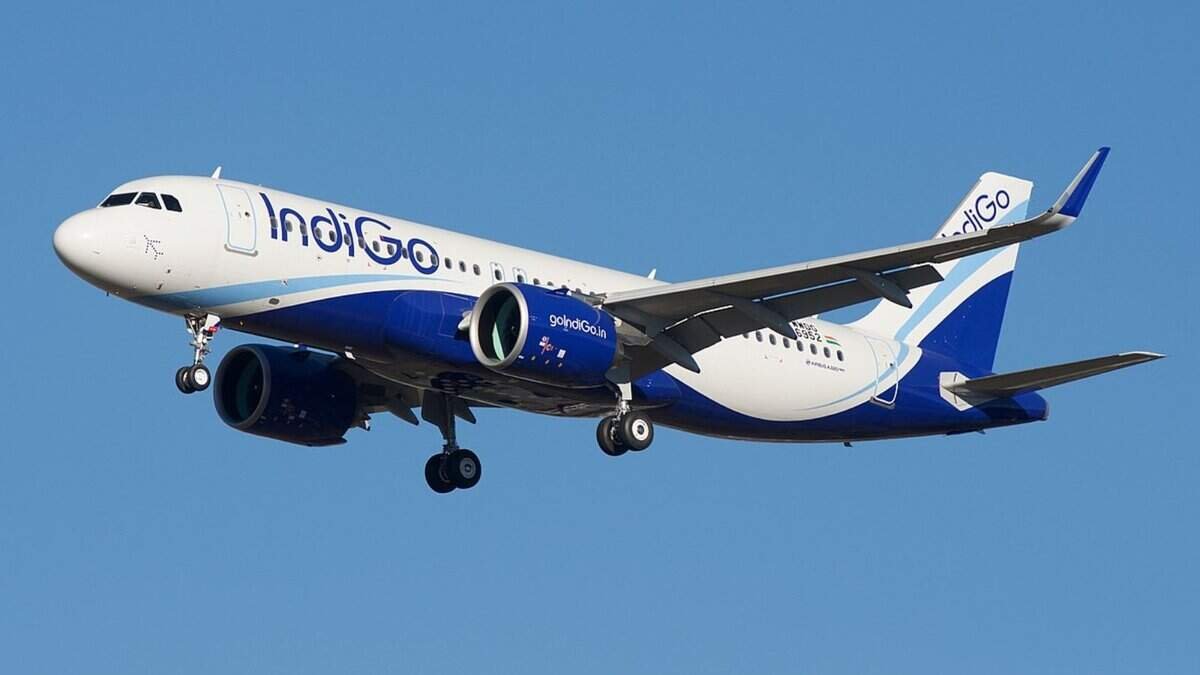IndiGo shares down nearly 4 pc as CCI orders detailed probe