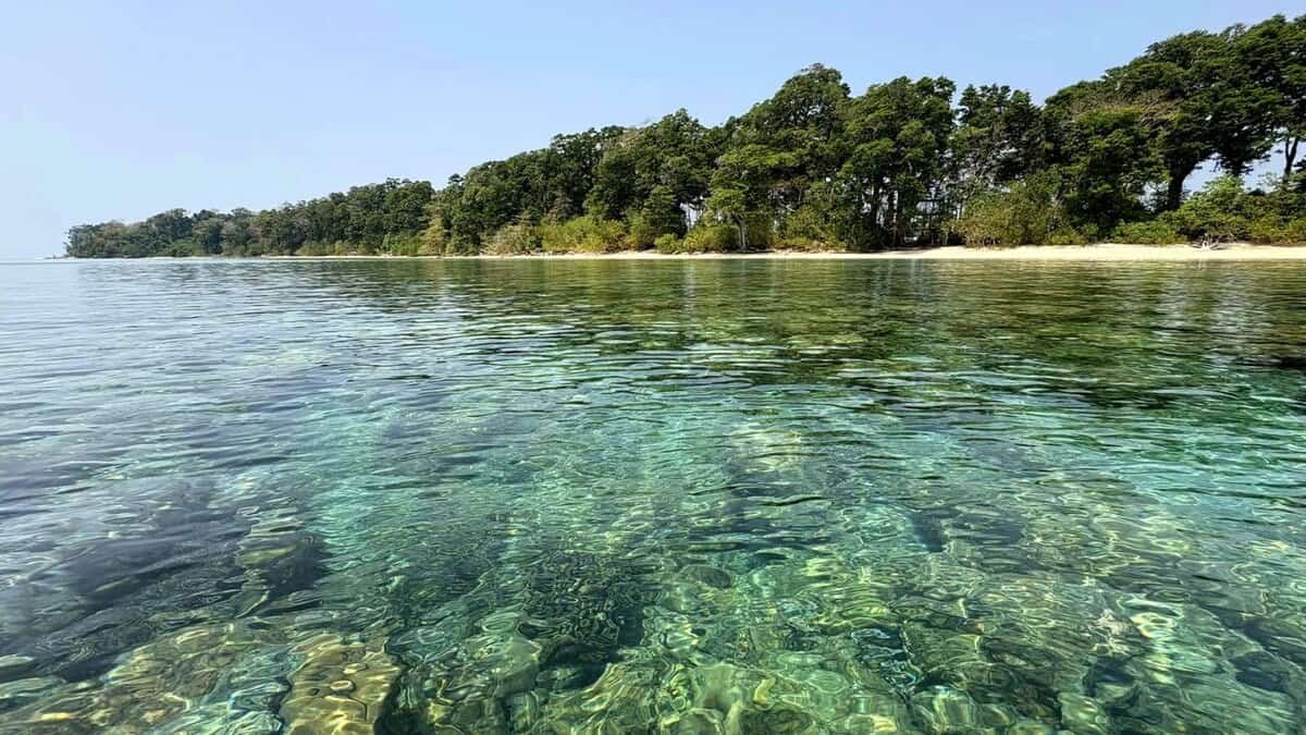 Andaman and Nicobar to be developed as Blue Economy: Union Minister