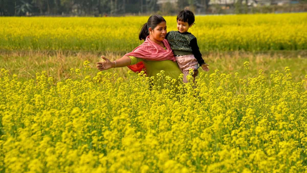 Budget 2026 draws praise from farm sector, edible oil industry unhappy