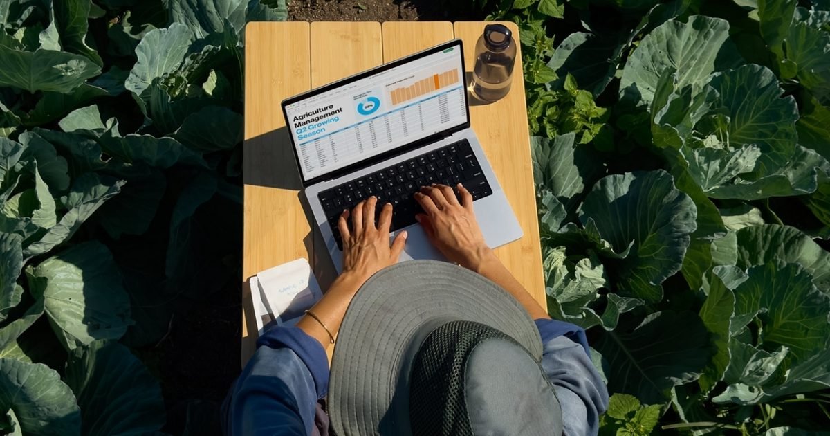 The “daylight” display: screens that actually work in the sun